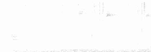 Каролинский крапивник - ML613736117
