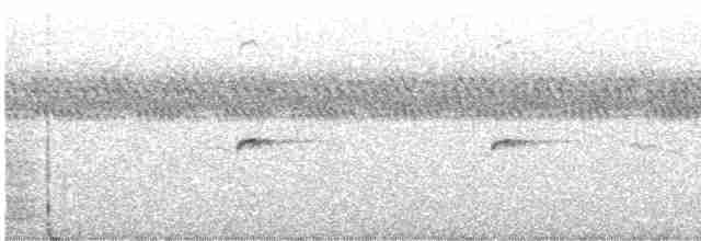 Tinamou carapé - ML613736319