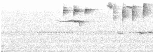 Белобровый певун - ML613736322