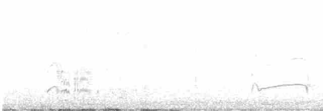 Küçük Başlı Elenya - ML613737696