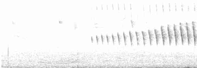Uzun Kuyruklu Sinklot (espinhacensis) - ML613737962