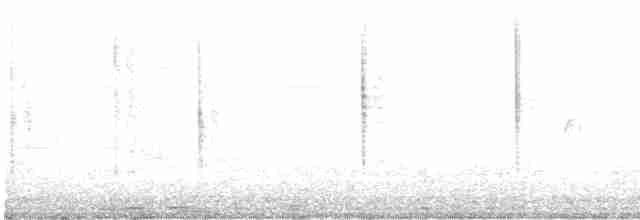 Kordillerenammertangare - ML613738284