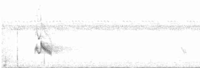 Chalk-browed Mockingbird - ML613738339