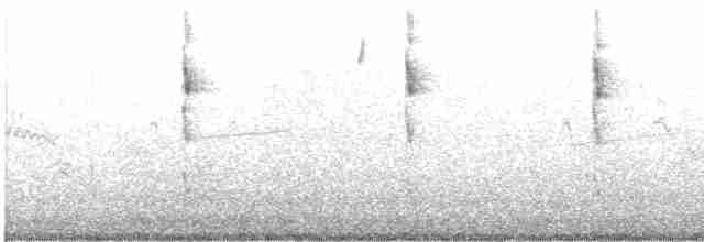 Wren-like Rushbird - ML613739394