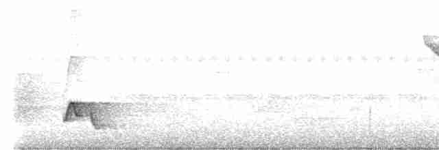 Белоухий крапивник - ML613741184
