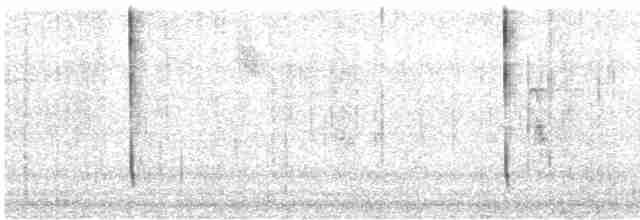 Kara Gözlü Junko (cismontanus) - ML613741341