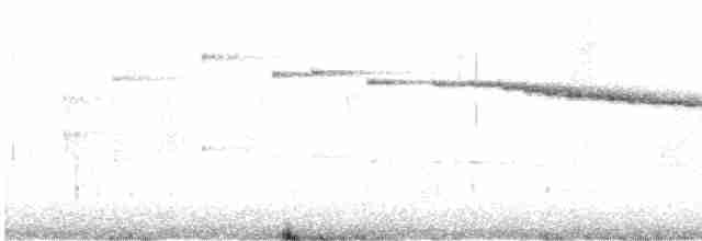 Мангровая веерохвостка - ML613742248