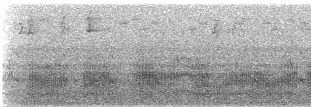 Common Tern - ML613744179