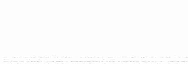 Münzevi Bülbül Ardıcı - ML613747149
