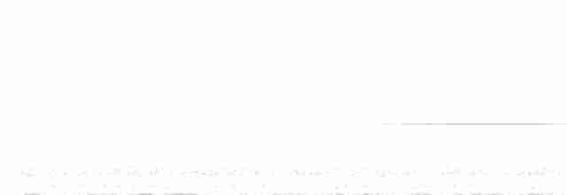 Turuncu Ardıç - ML613749182