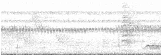 白腰鵲鴝 - ML613752040
