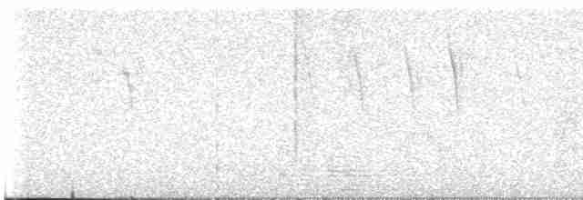 Tinamou des Andes - ML613752579
