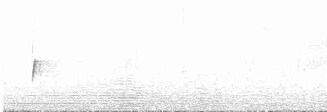 Tinamou des Andes - ML613752746