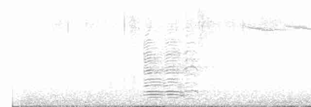 Гуска сіра (підвид anser) - ML613753653