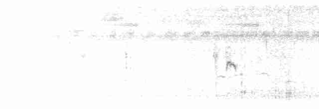 Black-browed Reed Warbler - ML613756502