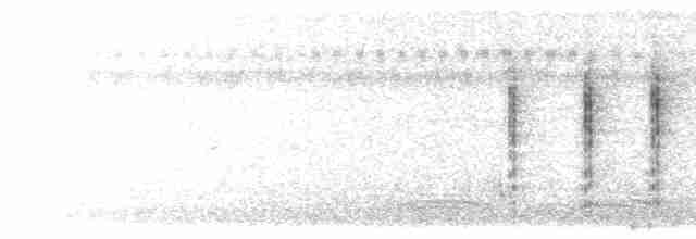 Black-browed Reed Warbler - ML613757122