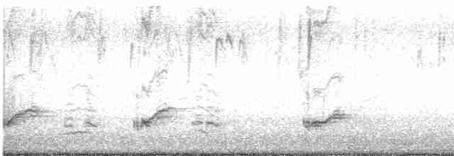 Kalifornienspottdrossel - ML613761254