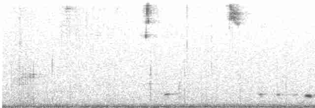 Common Merganser - ML613763267