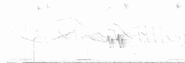 Талпакоті сірий - ML613764204