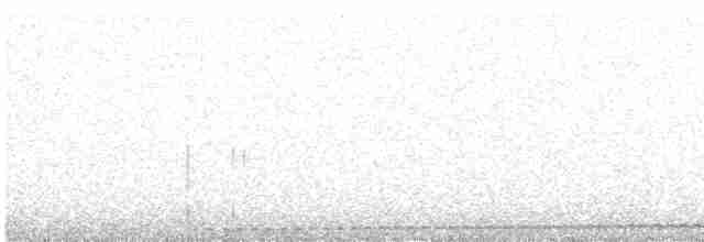 Grallaire ondée - ML613766360
