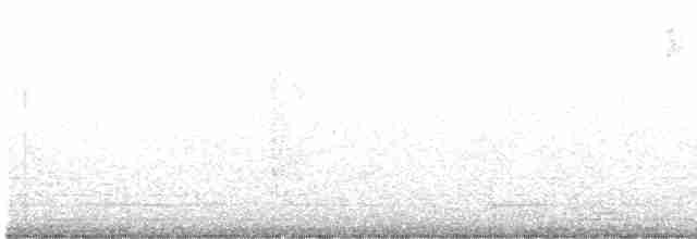 Worm-eating Warbler - ML613769438