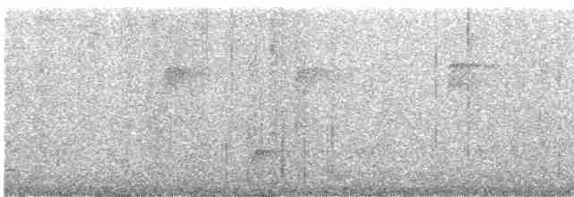 Ширококлювый миарх - ML613773920