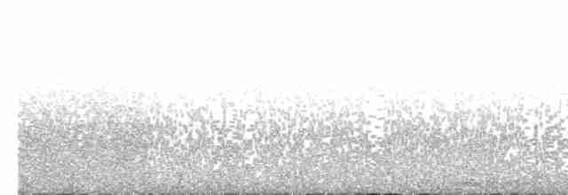 Сова плямиста (підвид caurina) - ML613773978