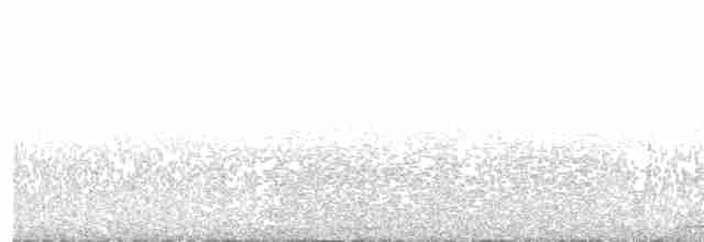 ニシアメリカフクロウ（caurina） - ML613773979