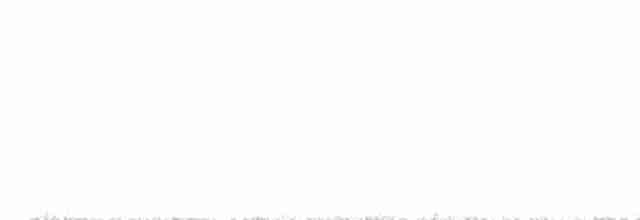 Сова плямиста (підвид caurina) - ML613775464