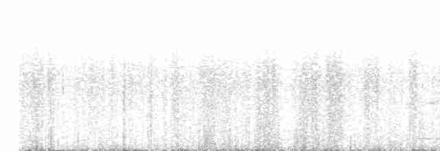 Сова плямиста (підвид caurina) - ML613775465