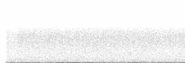 Сова плямиста (підвид caurina) - ML613775751