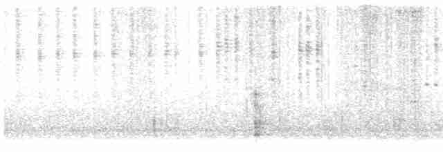 Цинантус синьогорлий - ML613775992