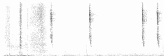 Troglodyte de Baird - ML613781157