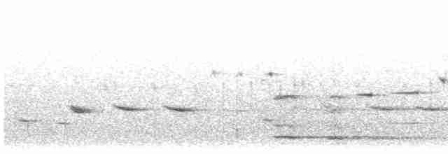 Ring-necked Pheasant - ML613782942