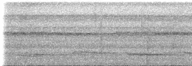White-necked Thrush (Gray-flanked) - ML613783037