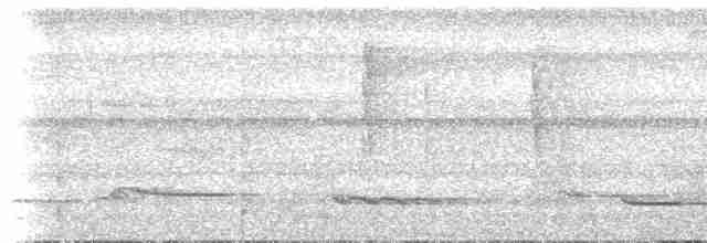 White-necked Thrush (Gray-flanked) - ML613783049