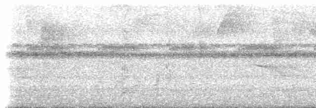 Little Tinamou - ML613784026