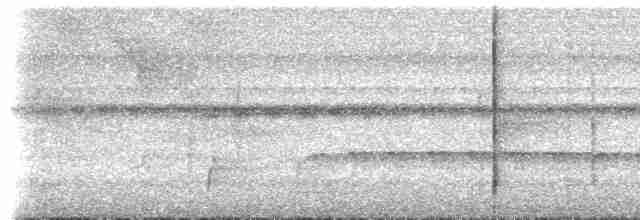 Тріскопліт рудолобий (підвид salvini) - ML613784053