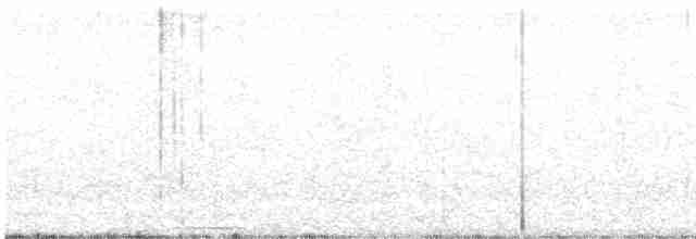 Lined Quail-Dove - ML613785633