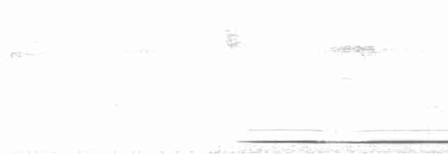 Slaty-breasted Tinamou - ML613789212