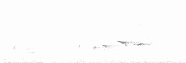 Weißstirn-Fächerschwanz - ML613794123