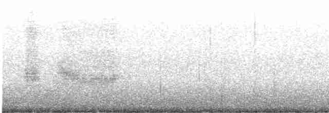 Длиннохвостый коэль - ML613794154