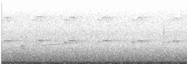 Gray-tailed Tattler - ML613794891