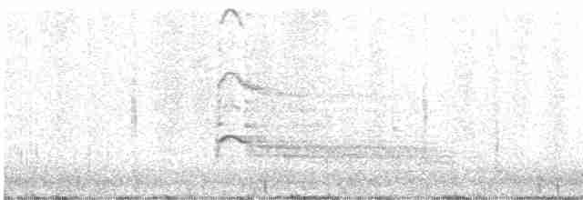 káně rudochvostá (ssp. calurus/alascensis) - ML613795433