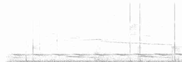 Torquéole de Horsfield - ML613798129