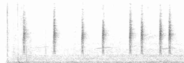 Яванская пестрогрудка (montis) - ML613798141