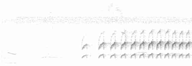 Graubrust-Dickichtschlüpfer - ML613800462