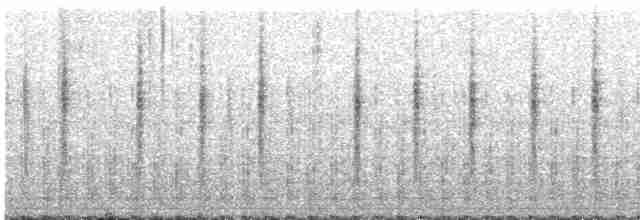 Spotted Bush Warbler - ML613801363