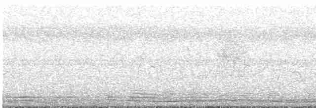 ťuhýk královský (ssp. tricolor/longicaudatus) - ML613801383