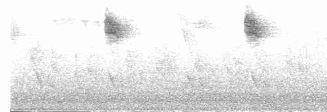 Spotted Flycatcher - ML613807837